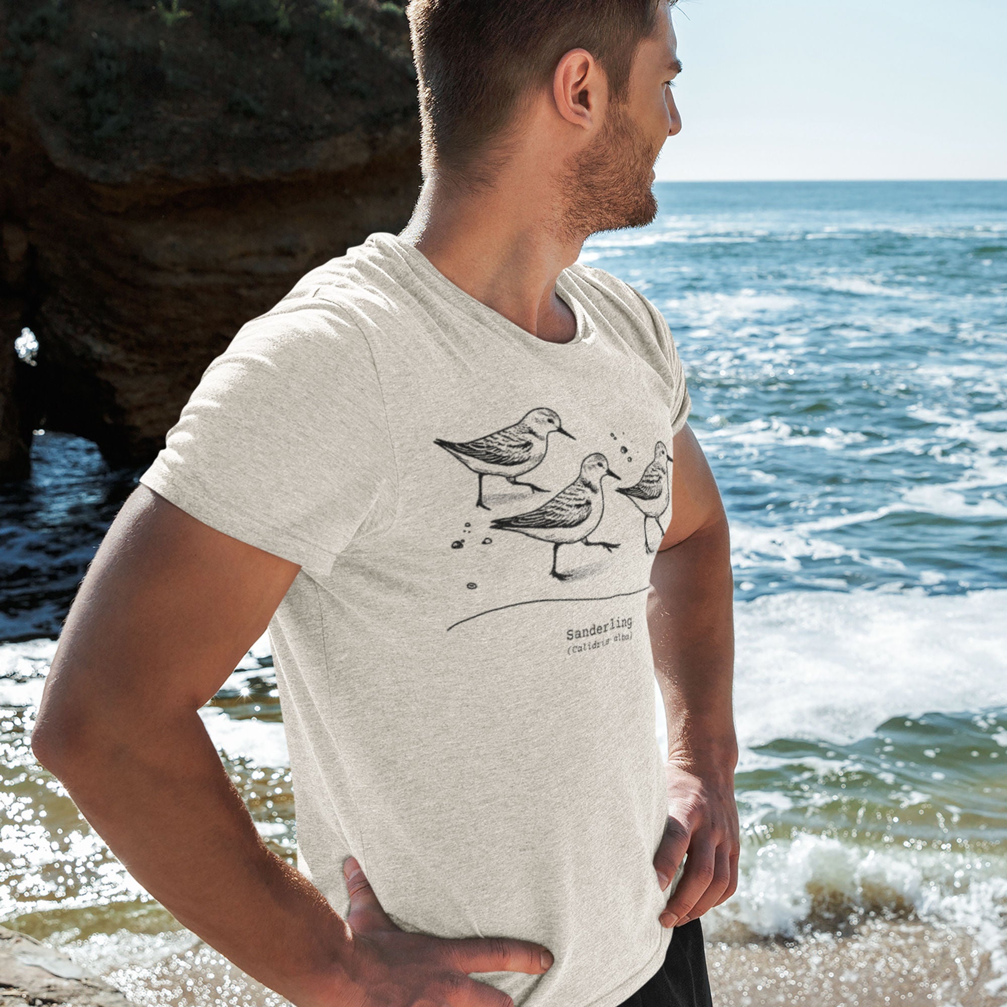 Ocean blue bird shirt featuring an illustration of a three sanderlings on a beach and the common and scientific names for the bird underneath.