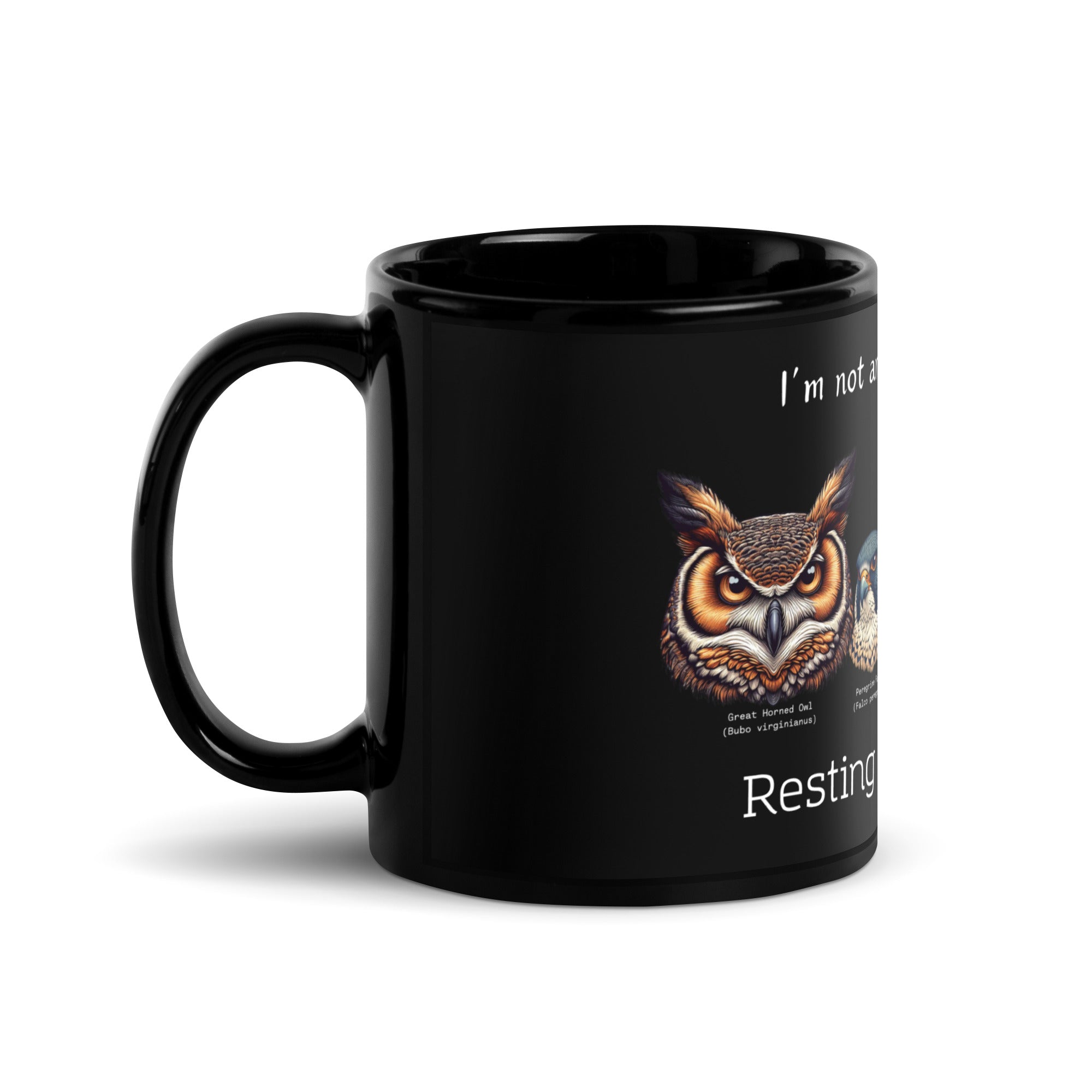 Black 11 oz mug with illustrations of a Great Horned Owl, Peregrine, Red-Tailed Hawk and Bald Eagle and the words "I'm Not Angry, I have RRF. Resting Raptor Face" above and below the birds. Side view right.