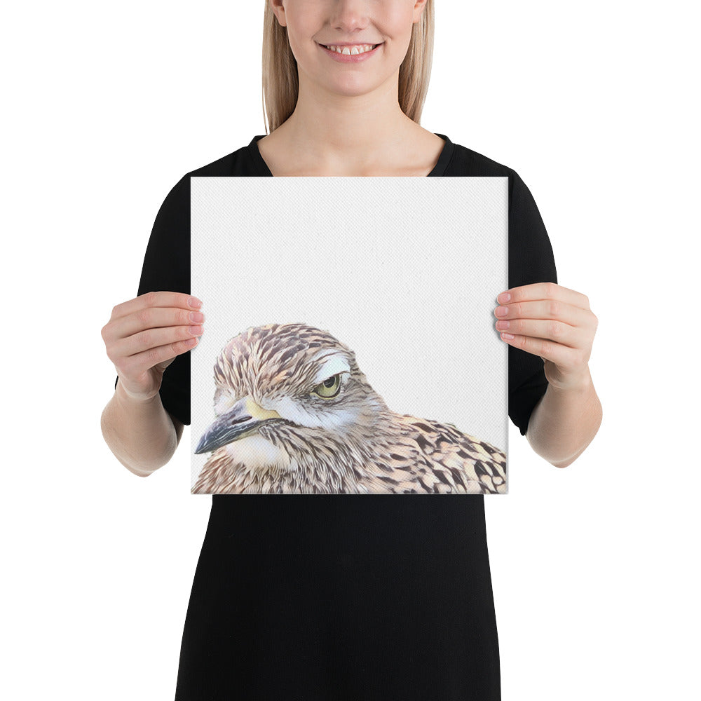 Illustrated photograph of a spotted-thick-knee on a 12 inch by 12 inch canvas.