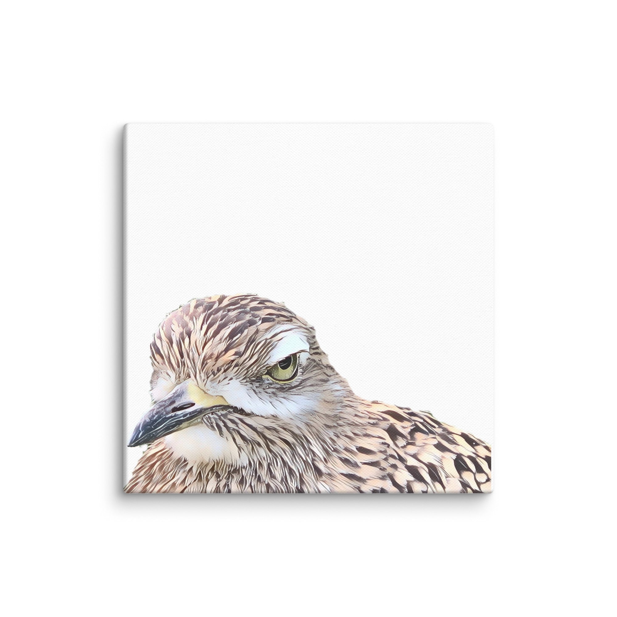 Illustrated photograph of a spotted-thick-knee on a 12 inch by 12 inch canvas.