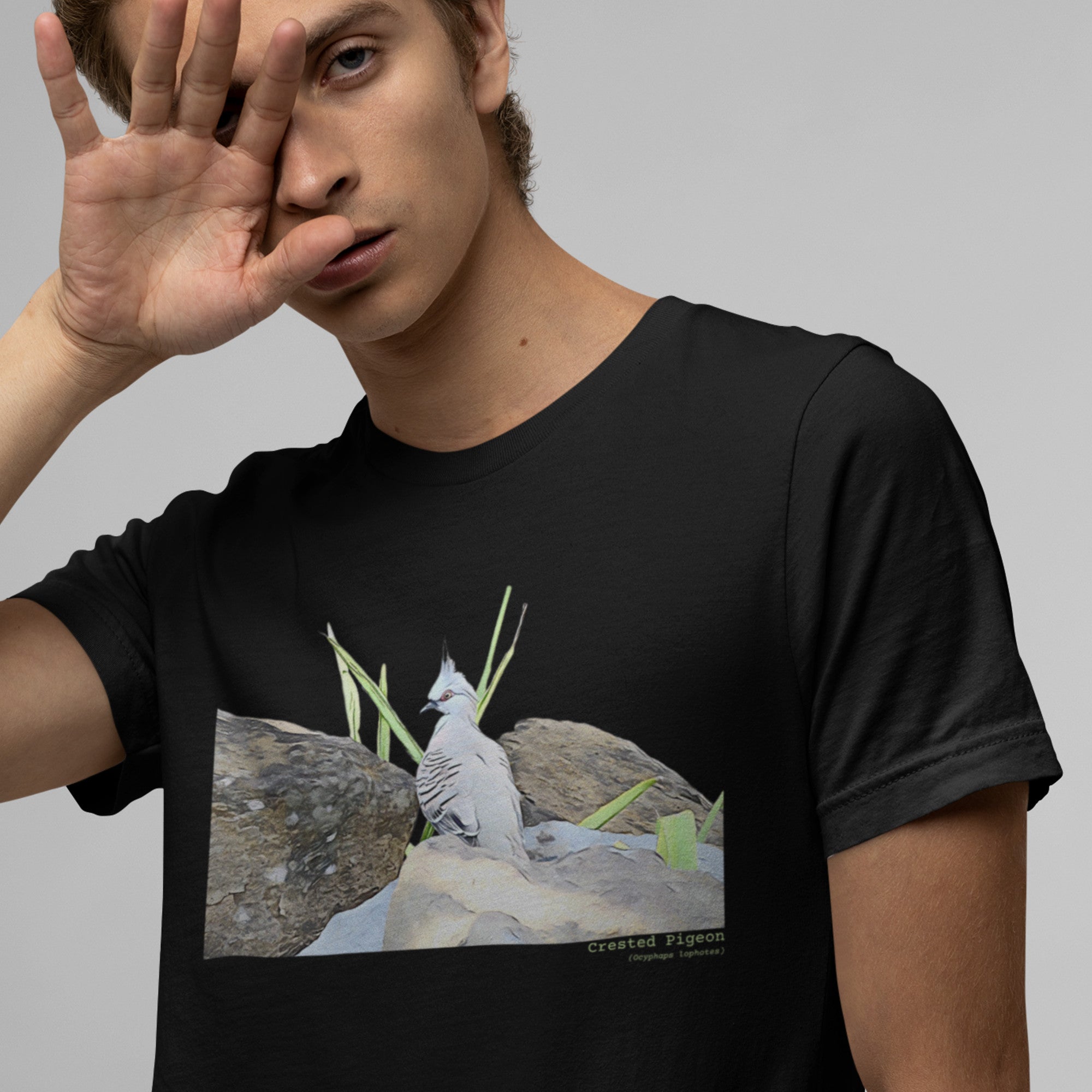 Black unisex bird t-shirt with a graphic of a crested pigeon among some rocks and grass on front, and the words crested pigeon written below and the scientific name below that. Worn by a man.