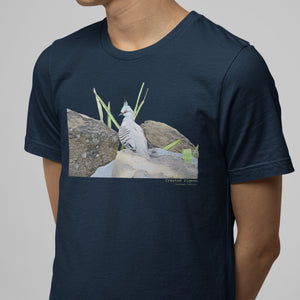 Navy unisex bird t-shirt with a graphic of a crested pigeon among some rocks and grass on front, and the words crested pigeon written below and the scientific name below that. Worn by a man.