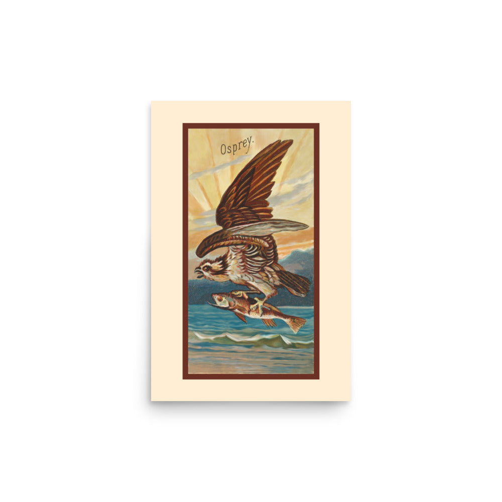 Vintage bird art of an illustration of an Osprey with a fish in its talons flying over a body of water with mountains in the background.