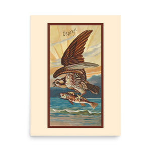 Vintage bird art of an illustration of an Osprey with a fish in its talons flying over a body of water with mountains in the background.