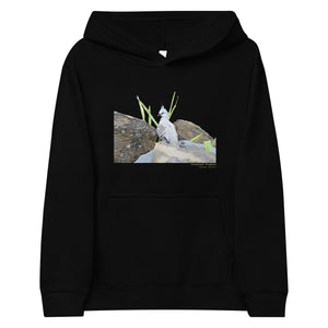 Black unisex youth bird hoodie with a graphic of a crested pigeon among some rocks and grass on front, and the words crested pigeon written below and the scientific name below that.