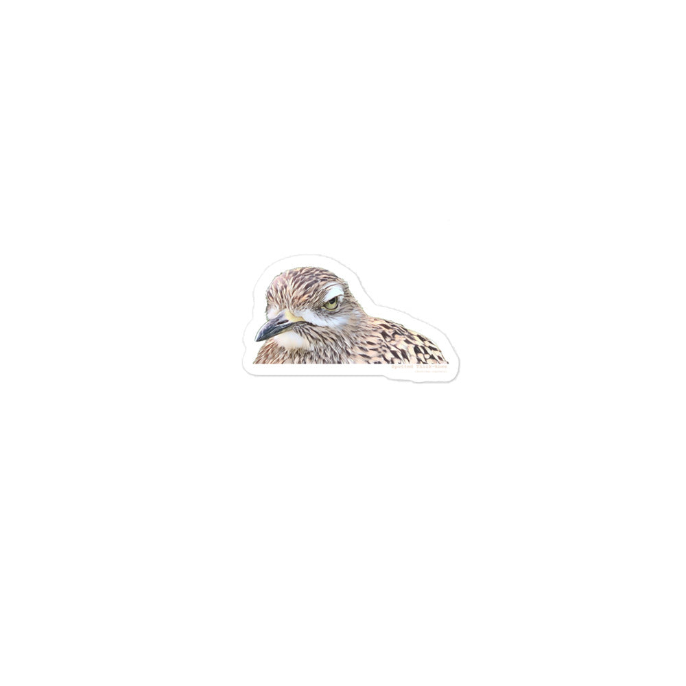 Spotted Thick-knee Sticker