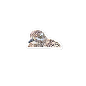 Spotted Thick-knee Sticker