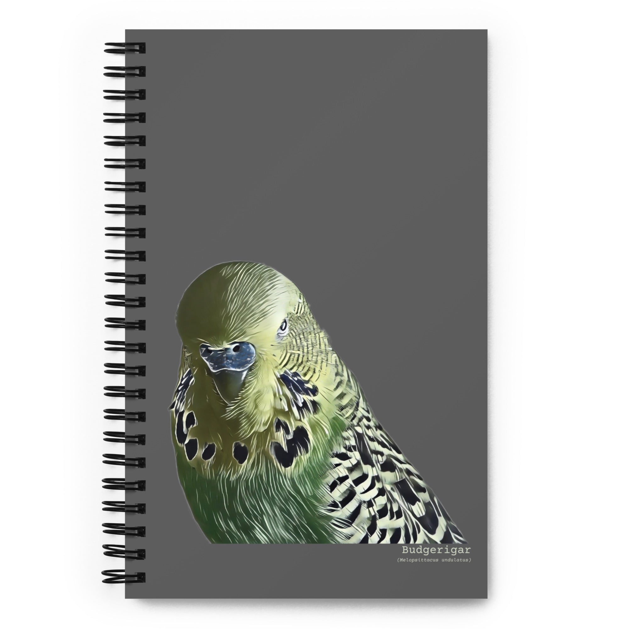 A spiral notebook with an illustrated and lifelike graphic of a green and yellow parakeet or budgie on the front. Below and to the right of the picture is the word Budgerigar on a dark gray background and below that the scientific name in parenthesis in small print.