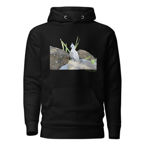 Black premium hooded bird sweatshirt with a lifelike illustration of a crested pigeon among some rocks and grass. The name of the pigeon is below the picture, with the scientific name included.