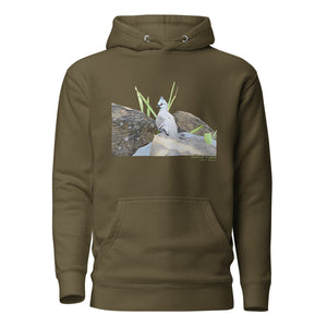 Army green premium hooded bird sweatshirt with a lifelike illustration of a crested pigeon among some rocks and grass. The name of the pigeon is below the picture, with the scientific name included.