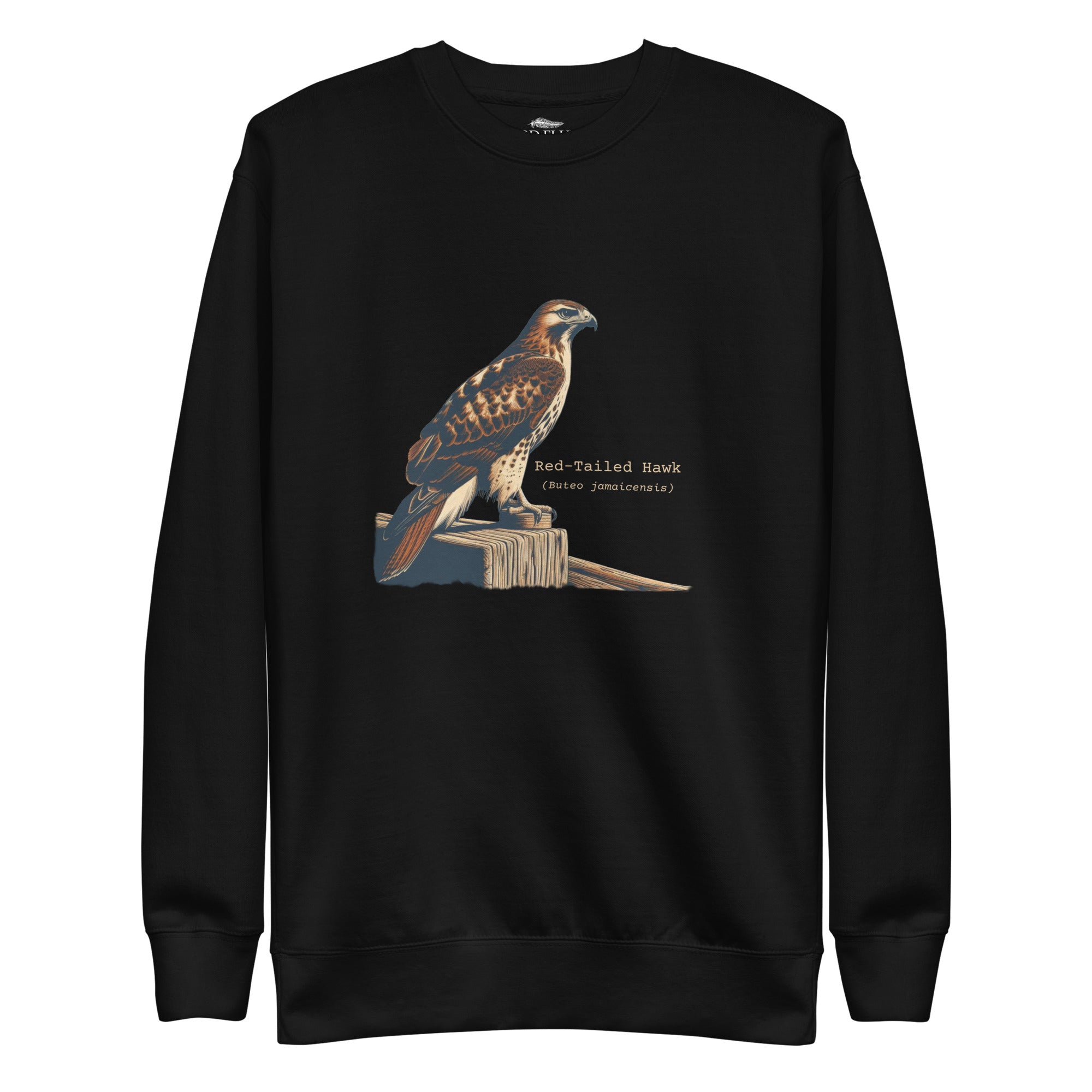 Black birding sweatshirt with an artistic depiction of a red-tailed hawk sitting on a fence and the common and scientific names for the bird next to it.