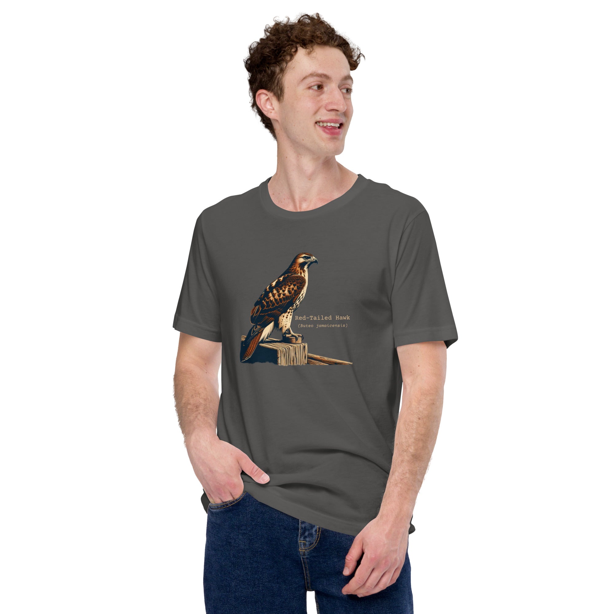 Gray bird shirt with an artistic depiction of a red-tailed hawk sitting on a fence and the common and scientific names for the bird next to it. Worn by a man.