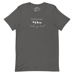 Gray bird t-shirt with the words Birdsong feeds my soul placed above and below a white graphic of 4 birds on a branch.