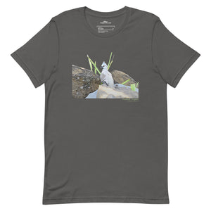 Dark gray unisex bird t-shirt with a graphic of a crested pigeon among some rocks and grass on front, and the words crested pigeon written below and the scientific name below that.