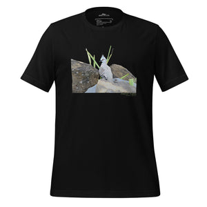 Black unisex bird t-shirt with a graphic of a crested pigeon among some rocks and grass on front, and the words crested pigeon written below and the scientific name below that.