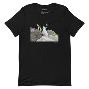 Black unisex bird t-shirt with a graphic of a crested pigeon among some rocks and grass on front, and the words crested pigeon written below and the scientific name below that.