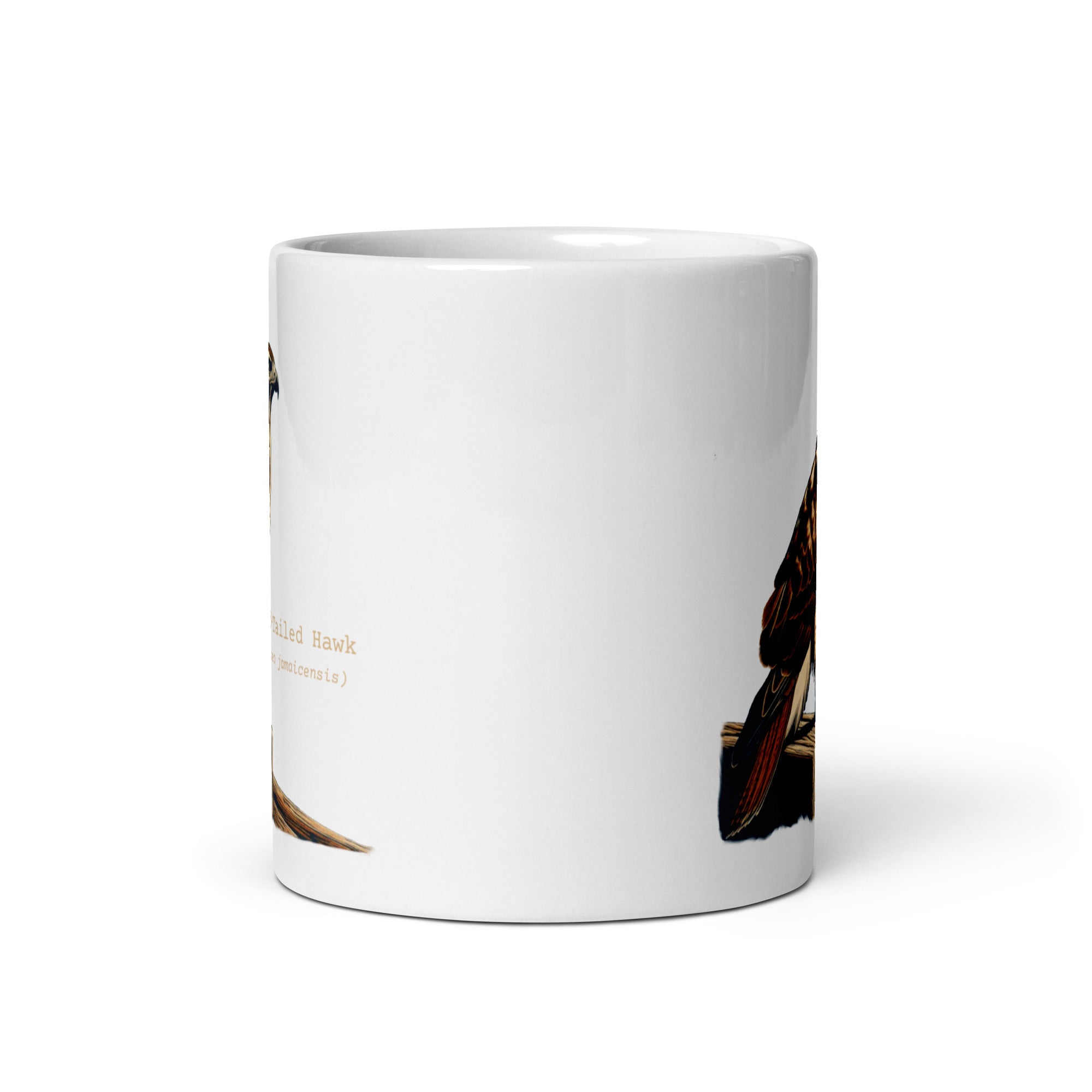 White 11oz mug with an illustration of a Red-Tailed Hawk on a fence and the common and scientific names next to the illustration.