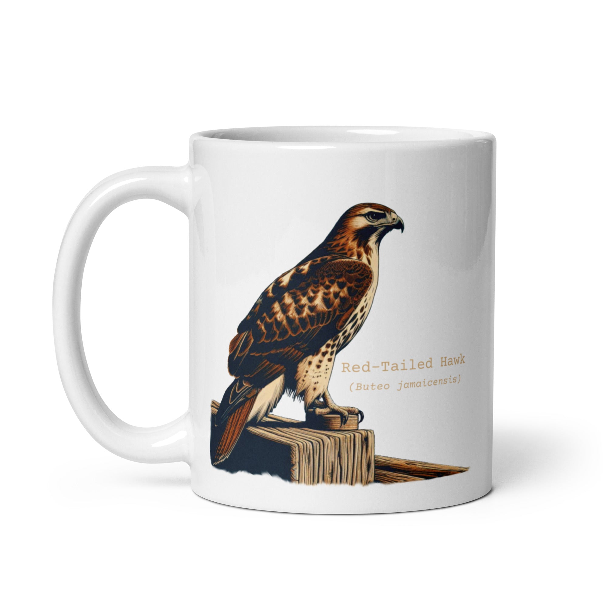 White 11oz mug with an illustration of a Red-Tailed Hawk on a fence and the common and scientific names next to the illustration.