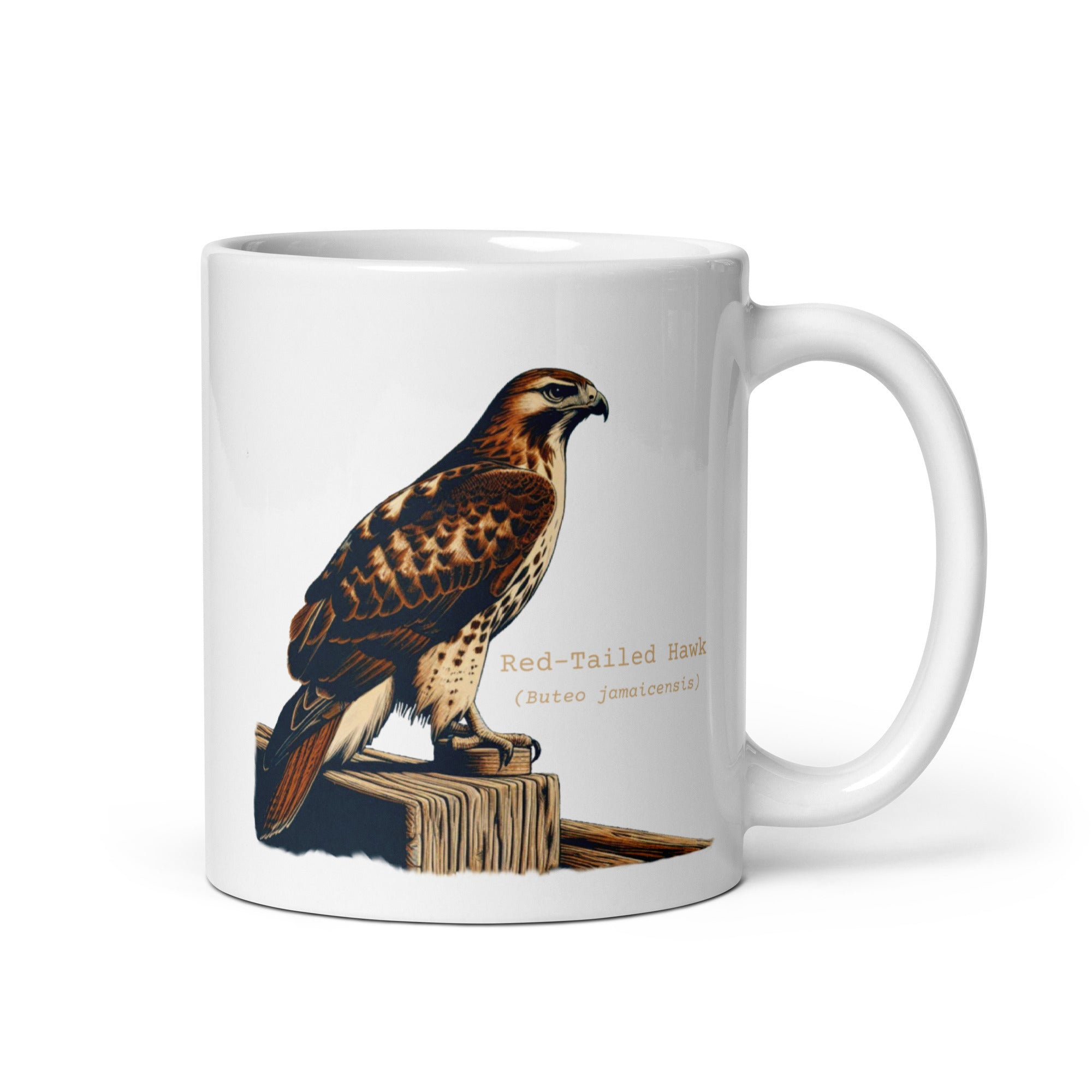 White 11oz mug with an illustration of a Red-Tailed Hawk on a fence and the common and scientific names next to the illustration.