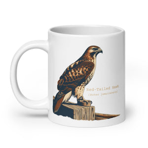 White 20oz mug with an illustration of a Red-Tailed Hawk on a fence and the common and scientific names next to the illustration.