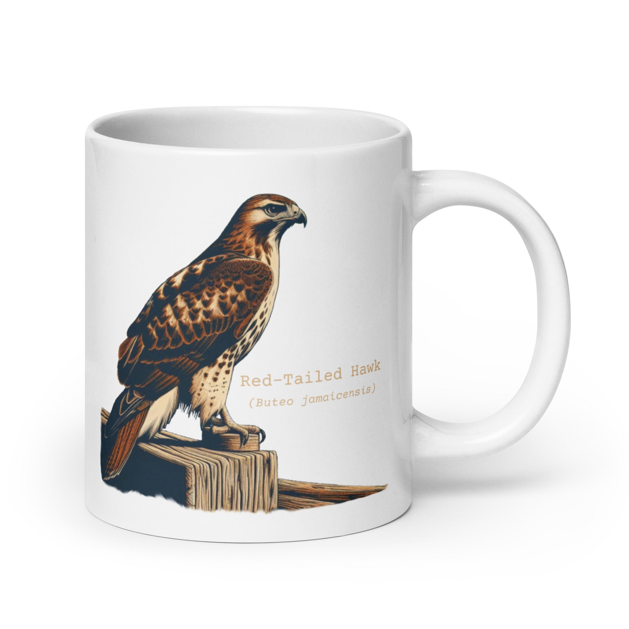 White 20oz mug with an illustration of a Red-Tailed Hawk on a fence and the common and scientific names next to the illustration.