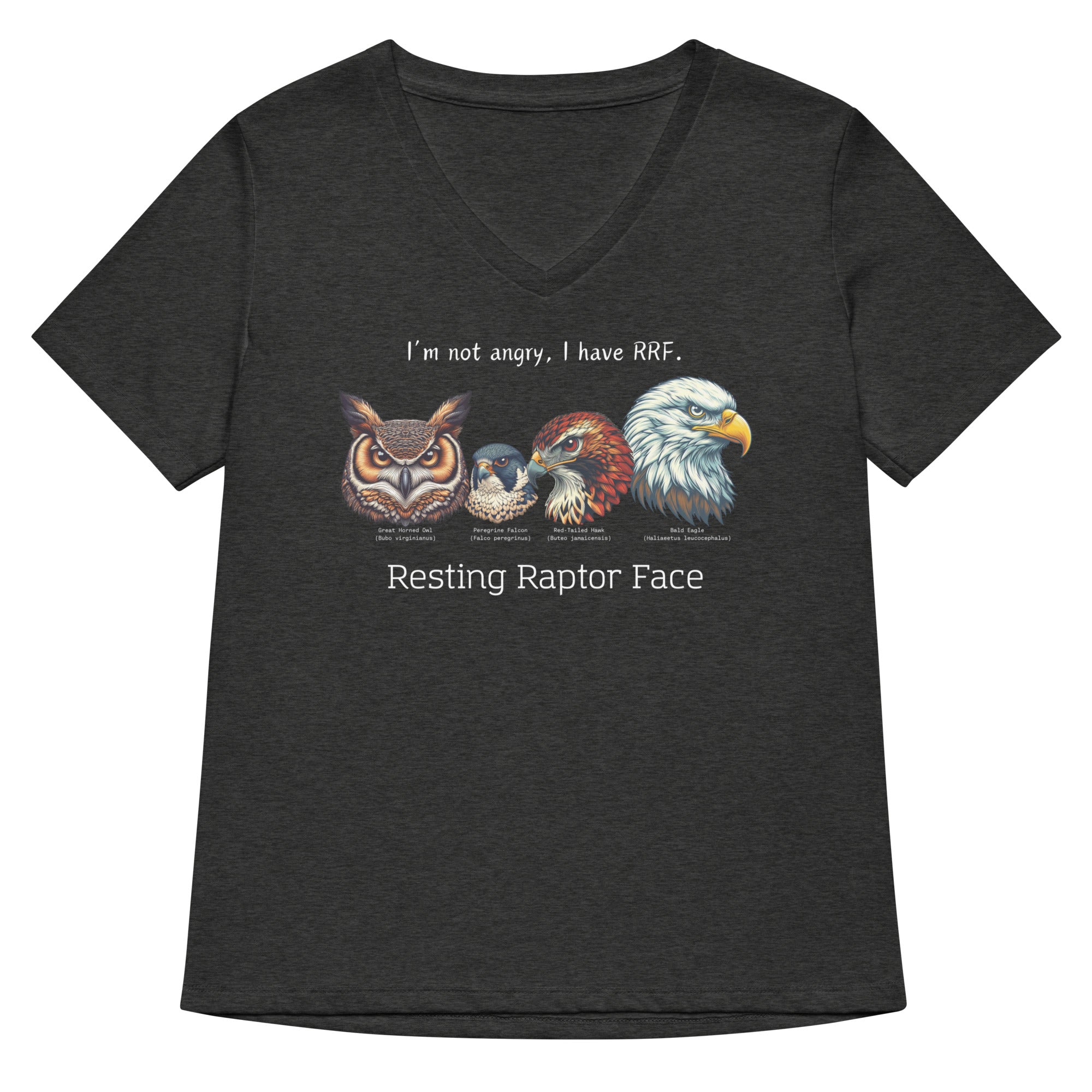 Resting Raptor Face Women’s Relaxed V-neck Bird T-shirt