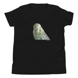 Black unisex youth bird t-shirt with an illustrated and lifelike graphic of a green and yellow parakeet or budgie on the front. Below and to the right of the picture is the word Budgerigar and below that the scientific name in parenthesis in small print.