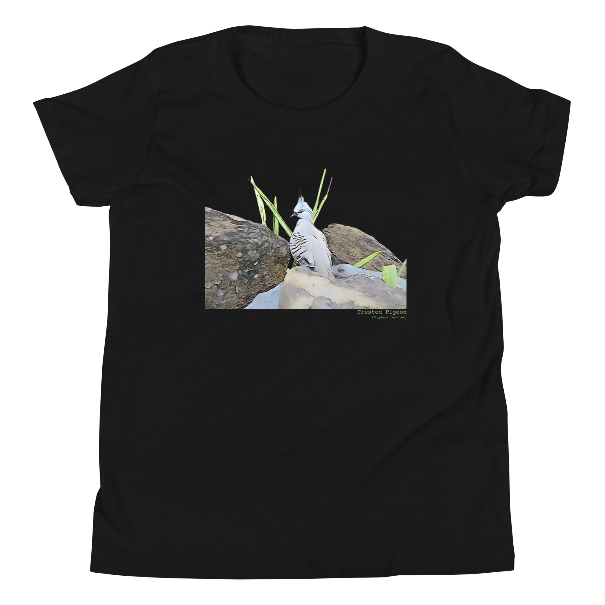 Black unisex youth bird t-shirt with a graphic of a crested pigeon among some rocks and grass on front, and the words crested pigeon written below and the scientific name below that.