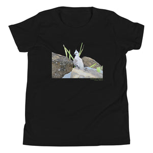 Black unisex youth bird t-shirt with a graphic of a crested pigeon among some rocks and grass on front, and the words crested pigeon written below and the scientific name below that.