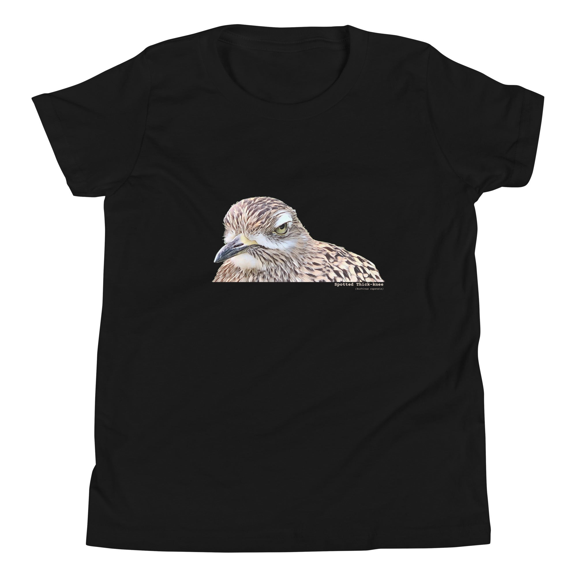 Black unisex youth bird t-shirt with an illustrated picture of a spotted thick-knee bird looking grumpy. The words spotted thick-knee are written below the illustration, including the scientific name.