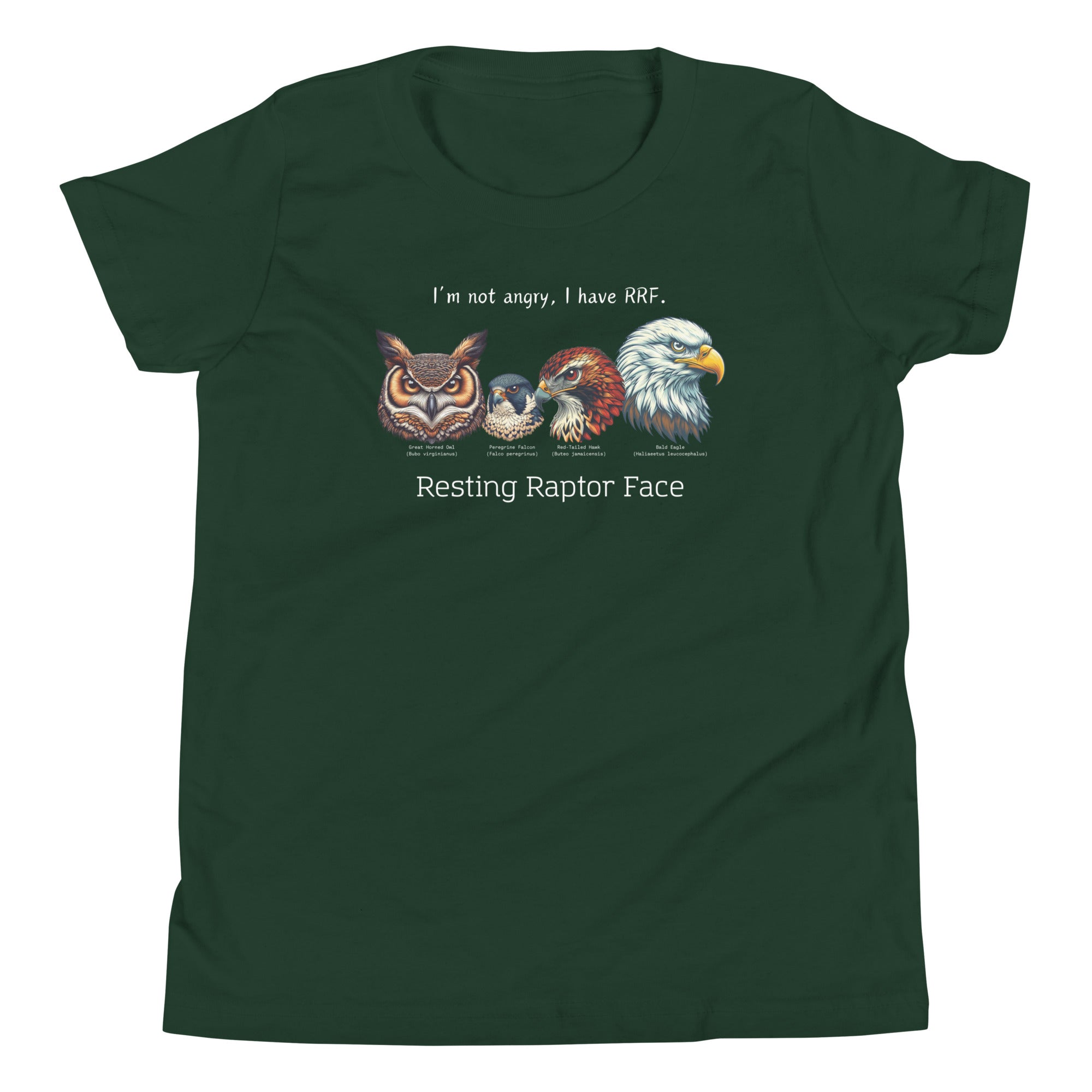 A forest green kid's bird shirt with a great horned owl, a peregrine falcon, a red-tailed hawk and a bald eagle. The shirt has text that says, I'm not angry, I have RRF. Resting Raptor Face. 