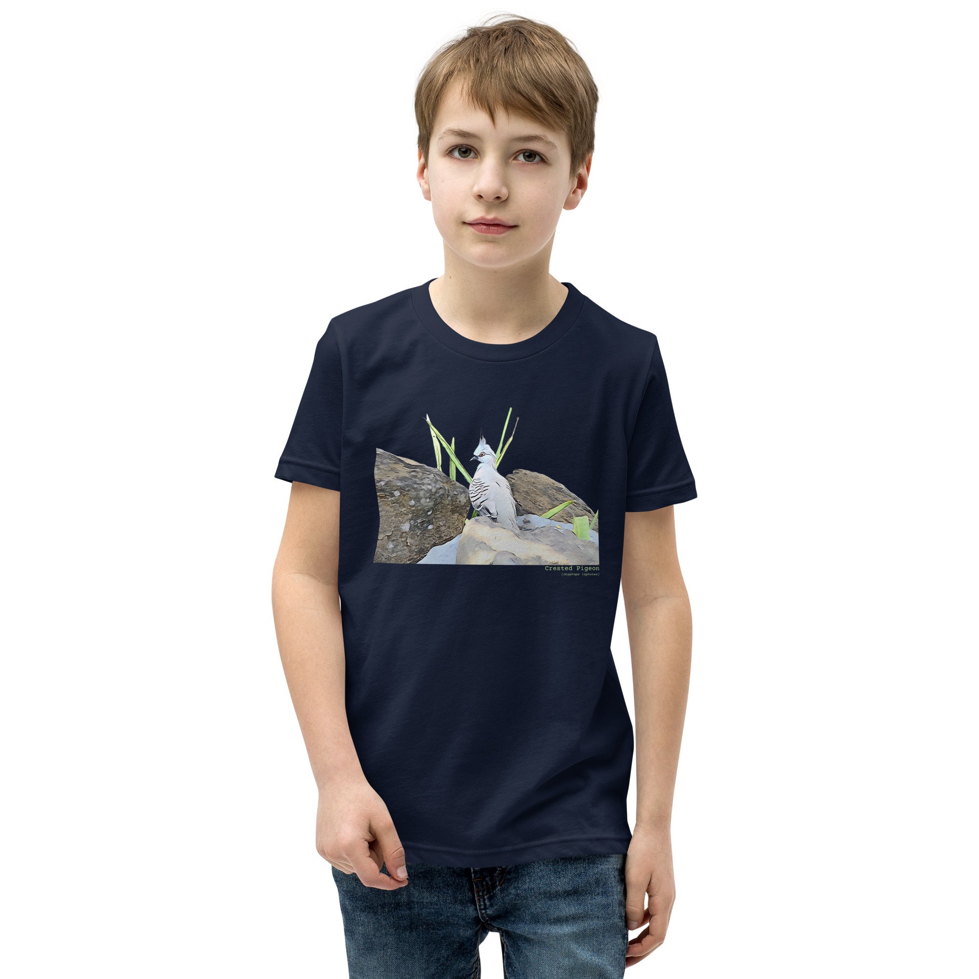 Navy unisex youth bird t-shirt with a graphic of a crested pigeon among some rocks and grass on front, and the words crested pigeon written below and the scientific name below that. Worn by a boy.