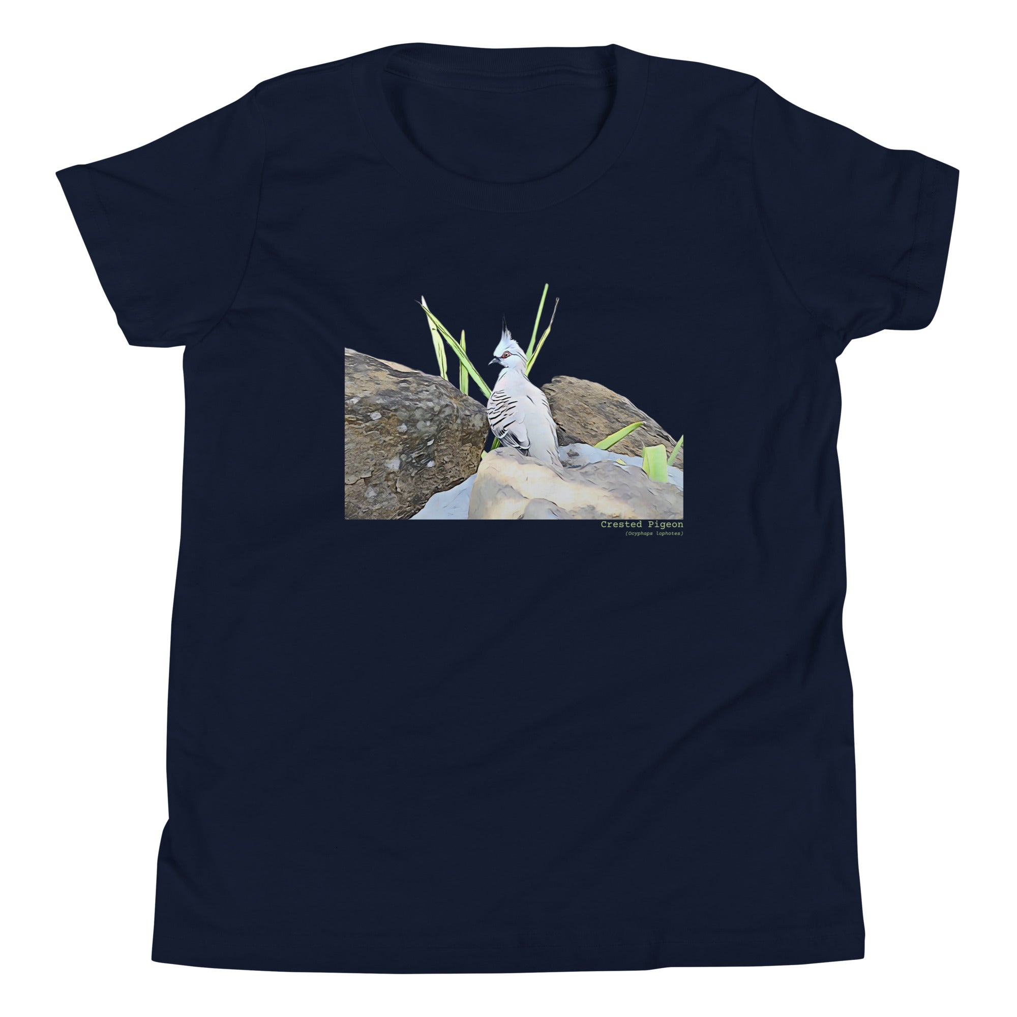 Navy unisex youth bird t-shirt with a graphic of a crested pigeon among some rocks and grass on front, and the words crested pigeon written below and the scientific name below that.