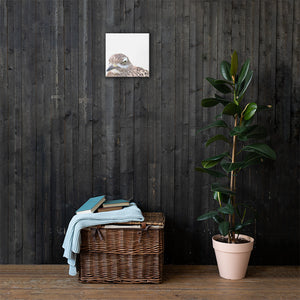 Illustrated photograph of a spotted-thick-knee on a 12 inch by 12 inch canvas.  Art is hung on a paneled wall above a basket and next to a potted plant.