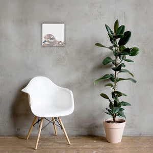 Illustrated photograph of a spotted-thick-knee on a 12 inch by 12 inch canvas. Art is hanging on a grey wall above a modern chair and next to a potted plant.