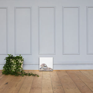 Illustrated photograph of a spotted-thick-knee on a 12 inch by 12 inch canvas. Art is leaning against a wall and next to a potted plant.