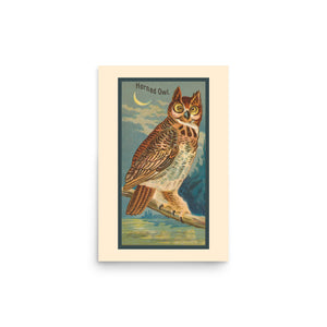 Vintage bird art of an illustration of a great horned owl perched on a branch at night with water and trees in the background.