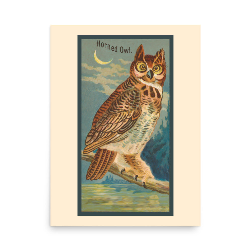 Vintage bird art of an illustration of a great horned owl perched on a branch at night with water and trees in the background.