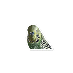 Adorable sticker of a lifelike illustrated budgerigar.