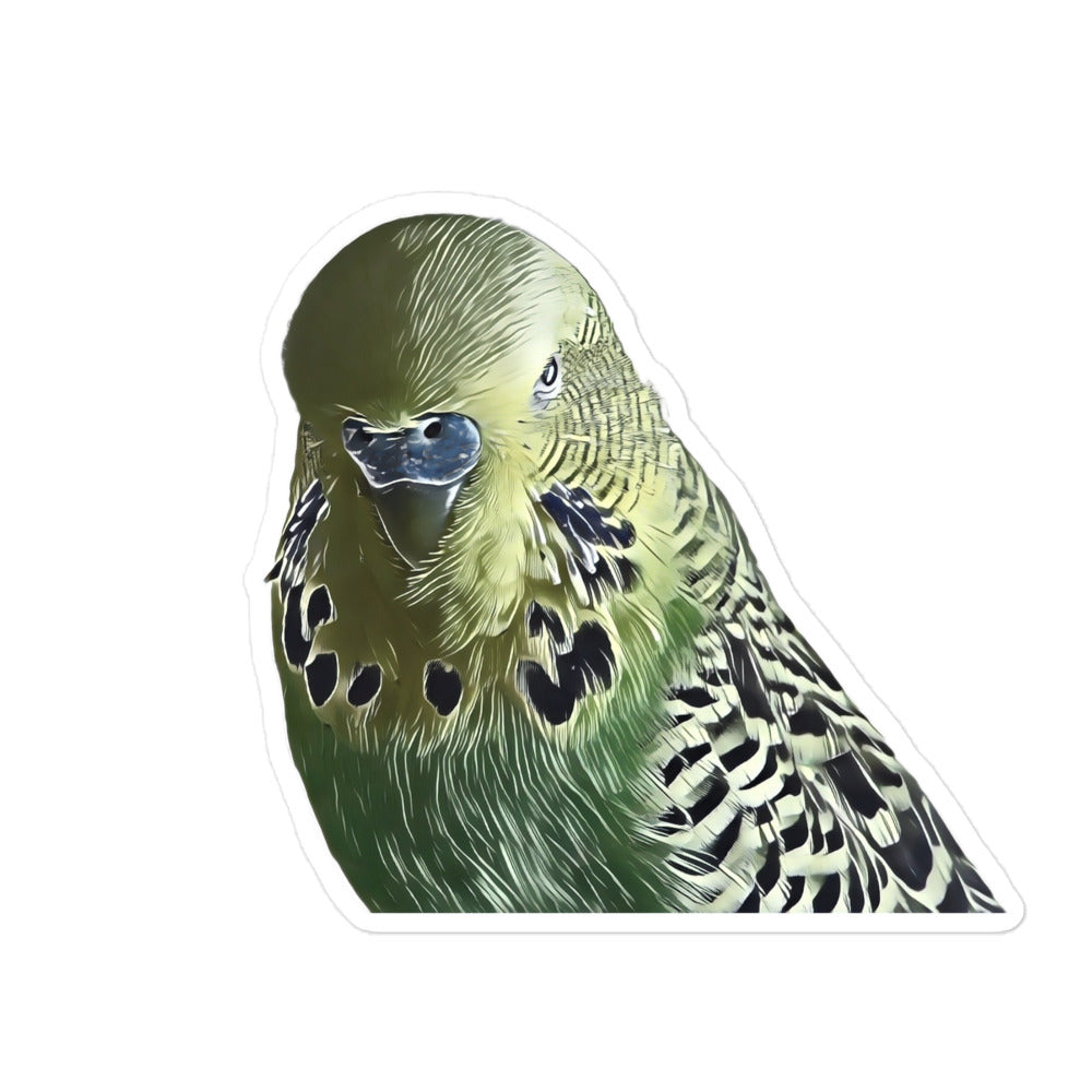 Adorable sticker of a lifelike illustrated budgerigar.