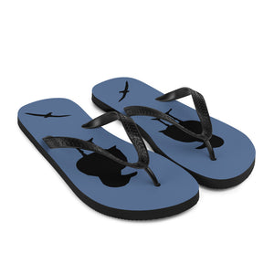 A pair of blue flip-flops with black strap and a silhouette of a seagull standing and smaller ones flying, viewed from the front right.