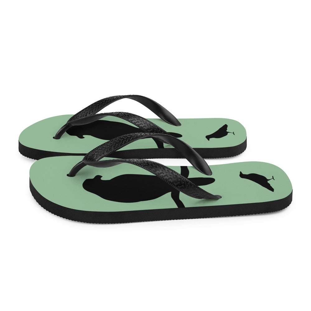 A pair of sea green flip-flops with black strap and a silhouette of a crow on a branch, viewed from the left side..