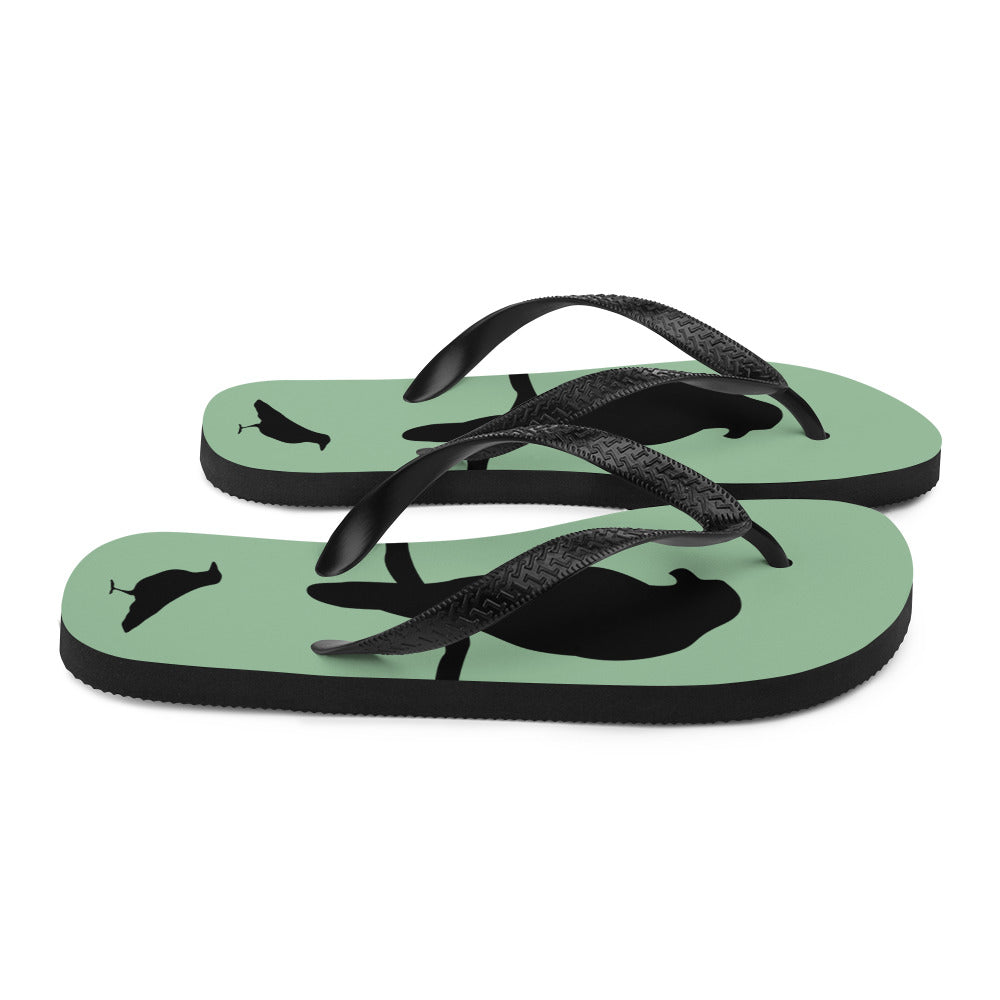 A pair of sea green flip-flops with black strap and a silhouette of a crow on a branch, viewed from the right side.