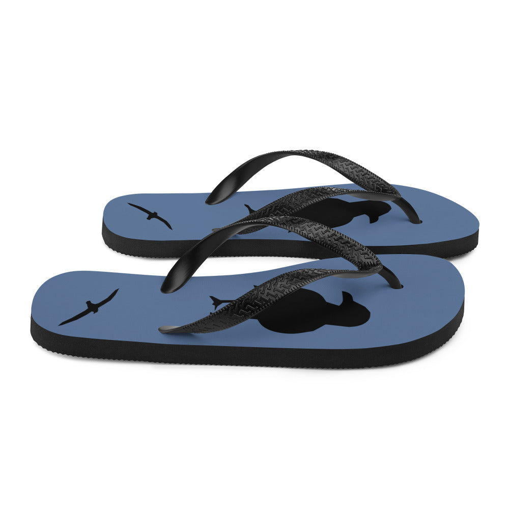 A pair of blue flip-flops with black strap and a silhouette of a seagull standing and smaller ones flying, viewed from the right side.